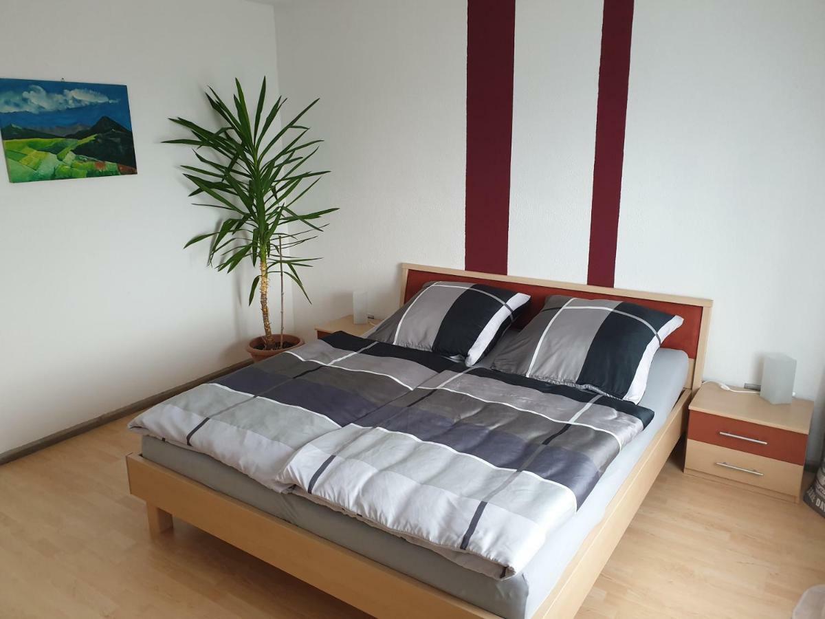 Ferienwohnung Schaefer- Arnold Рюдесхайм-на-Рейне Экстерьер фото